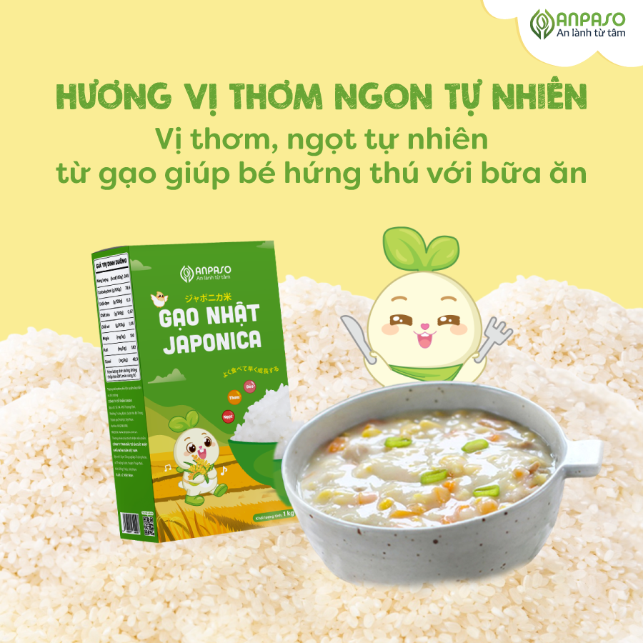 gạo-01