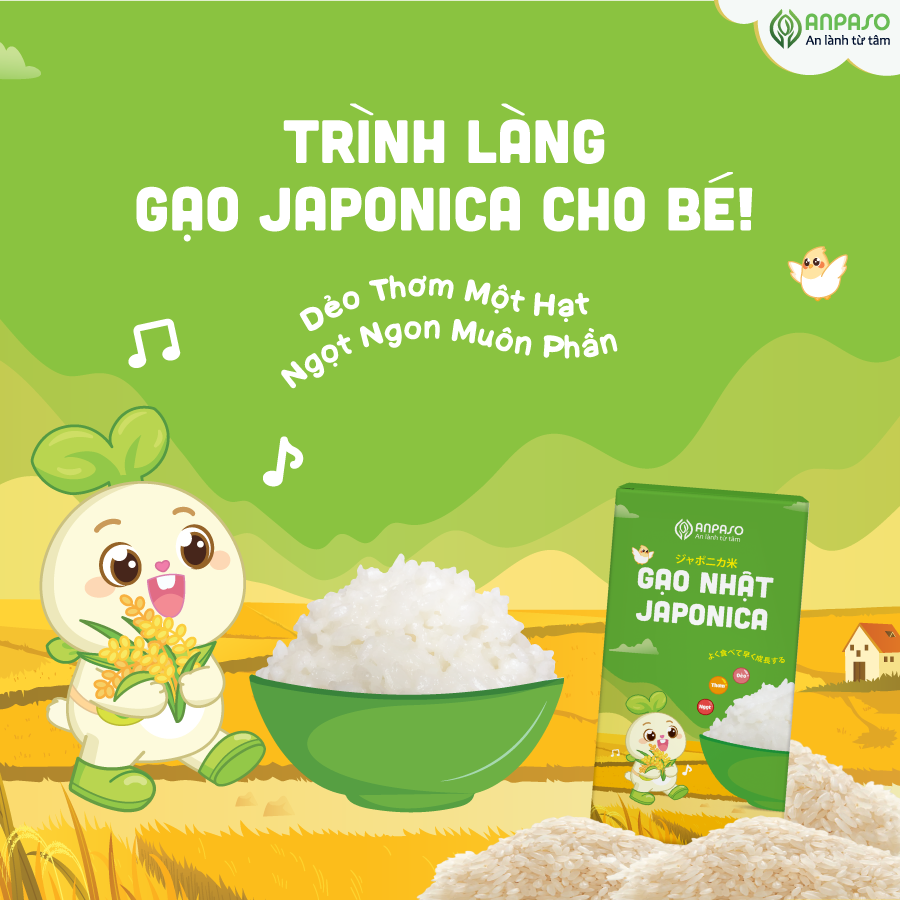 trình làng gạo-01