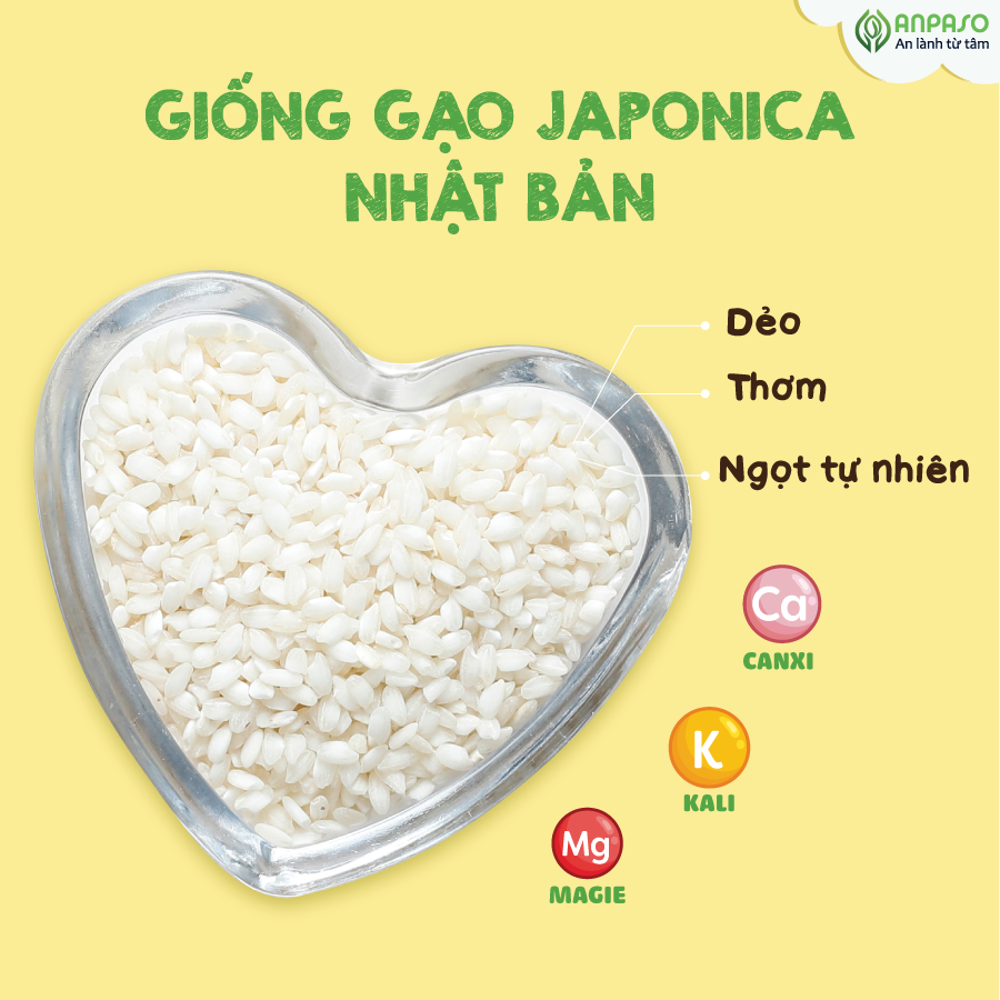 trình làng gạo-02
