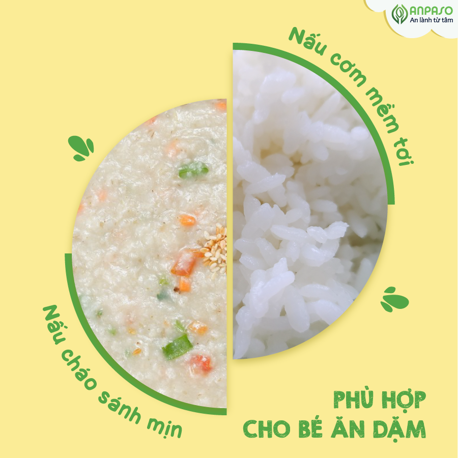 trình làng gạo-03